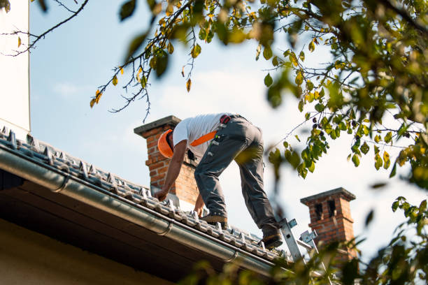 Best Roof Waterproofing Services  in Preston, TX