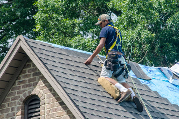 Roof Waterproofing Services in Preston, TX